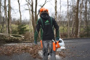 Gehölz- und Baumpflege
