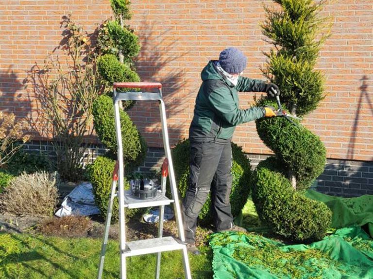 Gehölz und Baumpflege Garten und Pflege Windler
