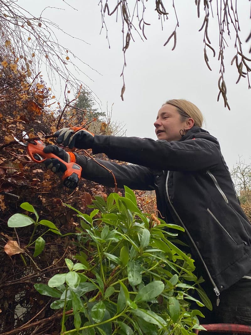 Referenzen Gartenpflege Tarmstedt