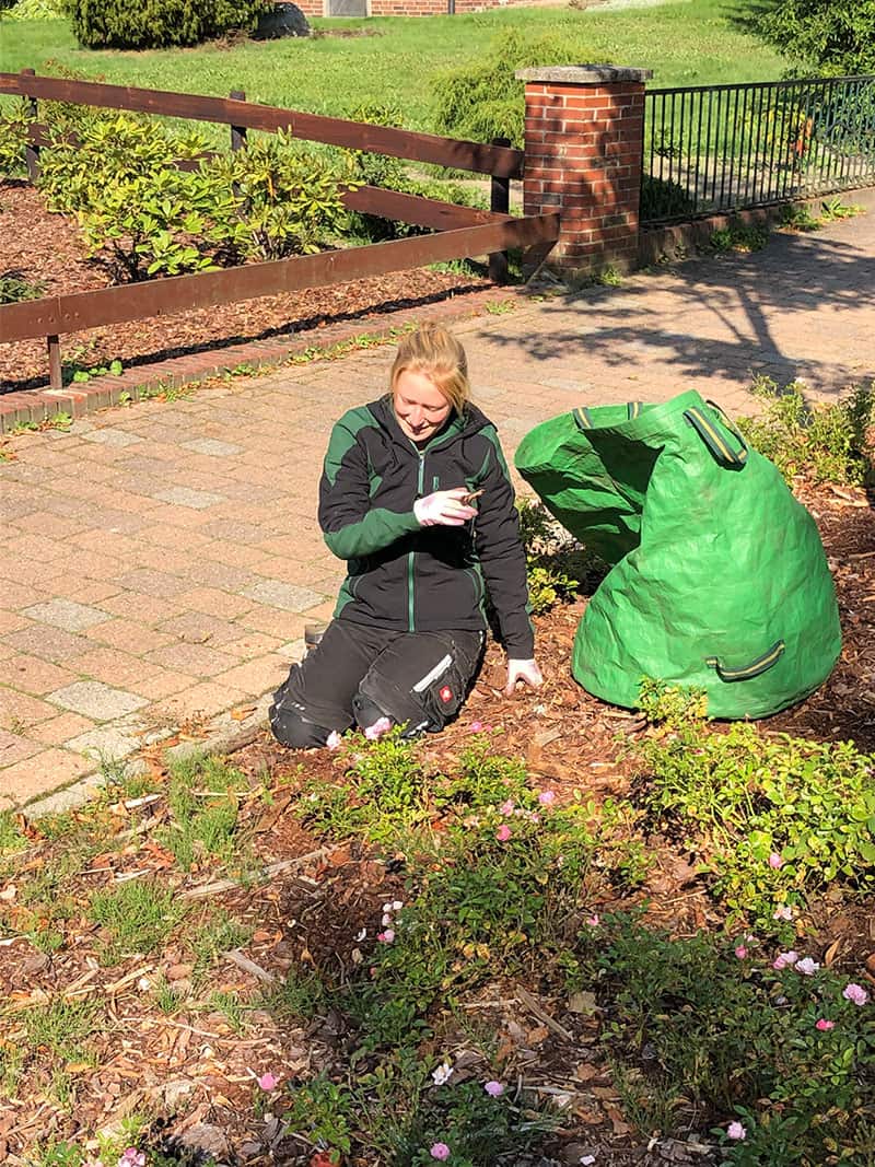 Referenzen Gartenpflege Tarmstedt